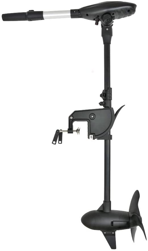 Haswing Protruar G 3.0 - 110 lbs - 24v - 1200w